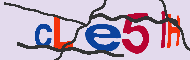 Code captcha